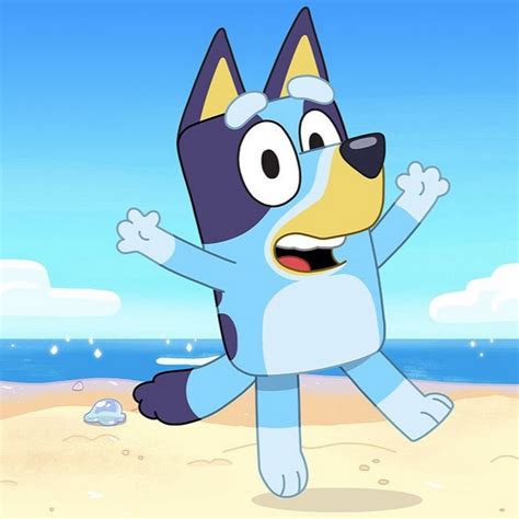 Bluey lives with her mother, father and four-year-old sister named Bingo, with whom she loves to play in the playground, frolic in the water and come up with various activities in everyday life so as not to get bored and not sit still. . Bluey youtube